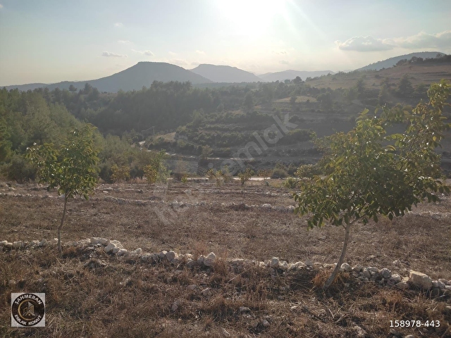 💥💥💥ŞAHMERAN DAN KARAKÜTÜK KÖYÜ 11.900 M2 SATILIK TARLA💥💥💥 - Görsel 6