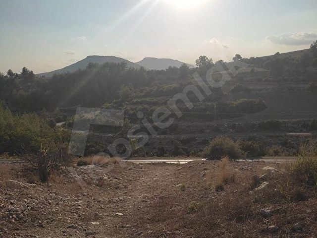 💥💥💥ŞAHMERAN DAN KARAKÜTÜK KÖYÜ 11.900 M2 SATILIK TARLA💥💥💥 - Görsel 8