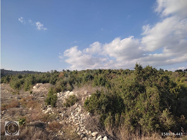💥💥💥ŞAHMERAN DAN KARAKÜTÜK KÖYÜ 11.900 M2 SATILIK TARLA💥💥💥 - Görsel 9