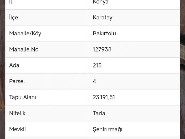 SAKYATAN CİVARİ SATLİK TARLA - Görsel 4