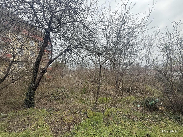 REKSAdan DOLUNAYDA SAFİR OTEL ARKASINDA SATILIK ARSA - Görsel 15