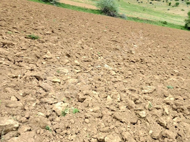 ÖZDEDEDEN SATILIK KARADİĞİN MH  DE 4200 MT² MÜSTAKİL TARLA - Görsel 6