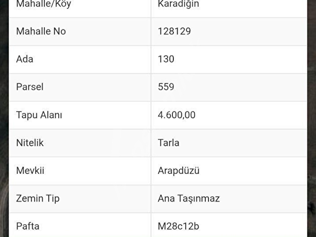 ÖZDEDEDEN SATILIK KARADİĞİN MH  DE 4200 MT² MÜSTAKİL TARLA - Görsel 3