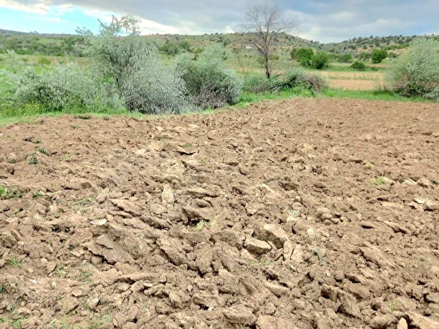 ÖZDEDEDEN SATILIK KARADİĞİN MH  DE 4200 MT² MÜSTAKİL TARLA - Görsel 8