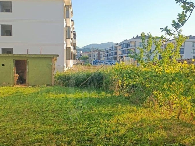 Arifbey Mahallesi Karanfil Sokakta Kiralık 2+1 Daire - Görsel 3