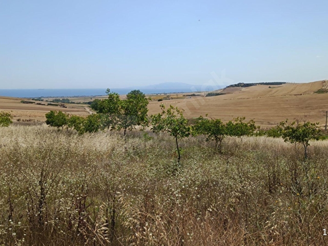 GELECEĞİN YATIRIMI! Marmaraereğlisi Çeşmeli’de Deniz Manzaralı Arazi. - Görsel 4