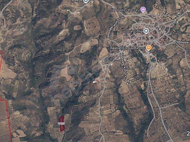 TEKİRDAĞ ŞARKÖY TEK TAPU DENİZ MANZARALI ARAÇ ULAŞIMLI ZEYTİNLİK - Görsel 9