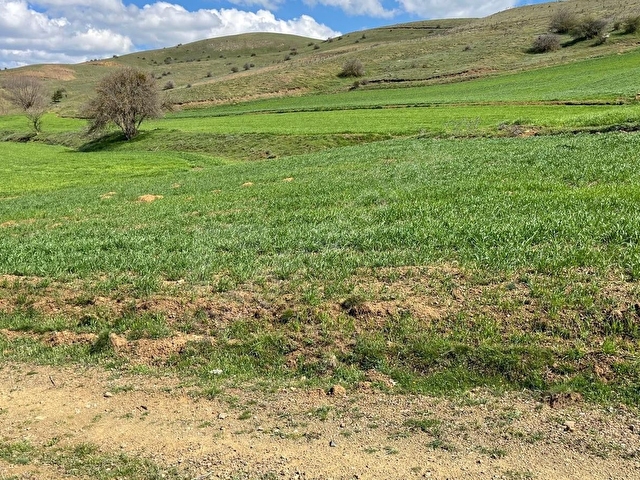 DOĞA CİTYDEN SATILIK BİLECİK SÖĞÜT OLUKLUDA 1.236 M2 TARLA - Görsel 3