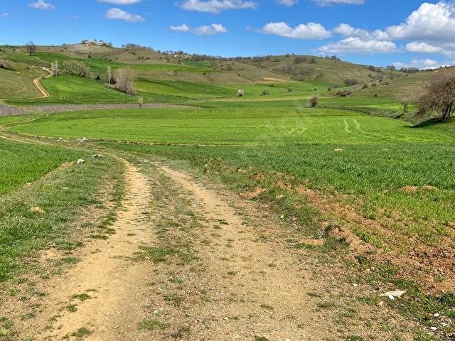DOĞA CİTYDEN SATILIK BİLECİK SÖĞÜT OLUKLUDA 1.236 M2 TARLA - Görsel 2