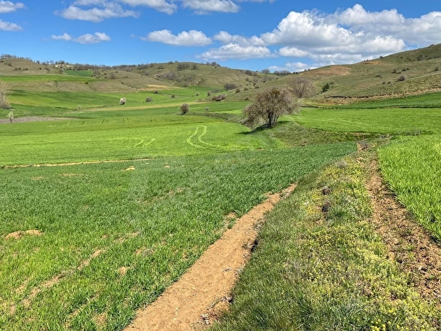 DOĞA CİTYDEN SATILIK BİLECİK SÖĞÜT OLUKLUDA 1.236 M2 TARLA