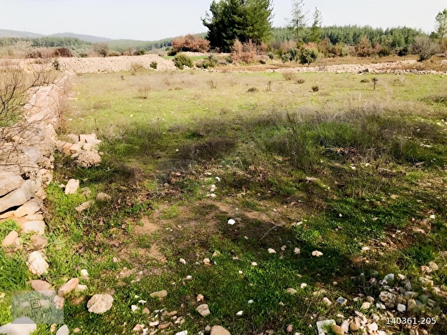 Bodrum Alaçam da Arsalar - Görsel 8