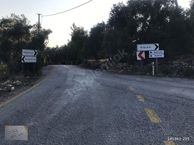 Bodrum Alaçam da Arsalar - Görsel 2
