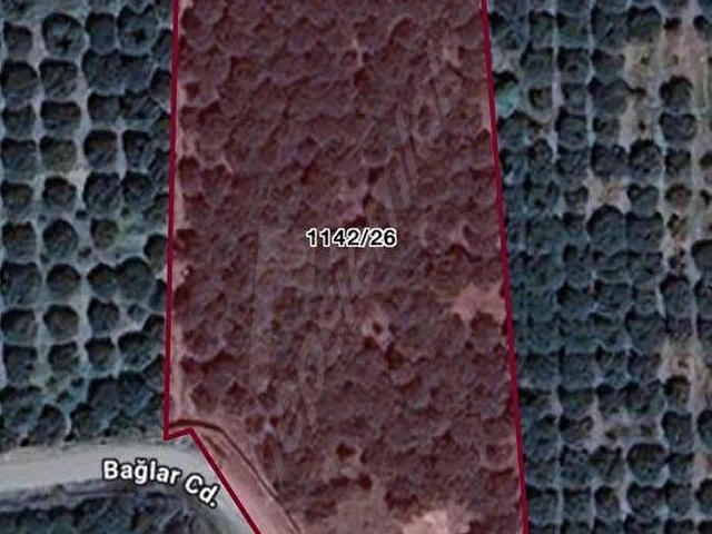 ÖZERLİ TOKİ YE YAKIN TEK TAPULU 5.627 m2 ARSA - Görsel 4