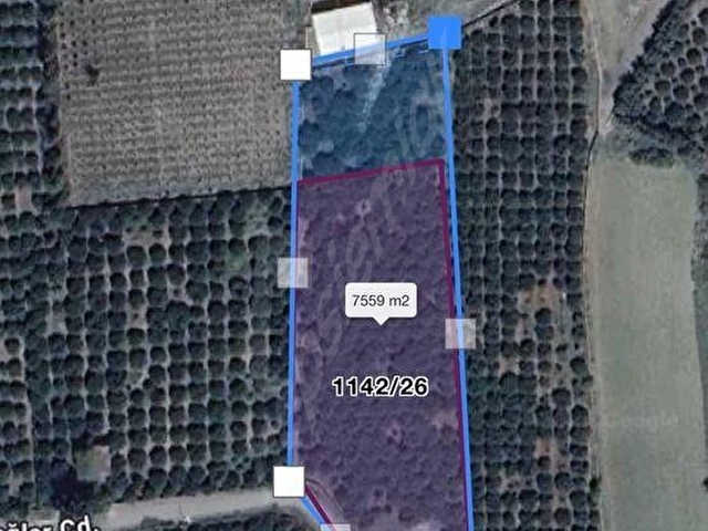 ÖZERLİ TOKİ YE YAKIN TEK TAPULU 5.627 m2 ARSA