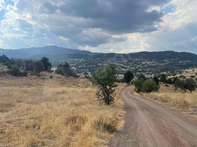 YAYLA KARAÇULHADA YATIRIMLIK TARLA - Görsel 4