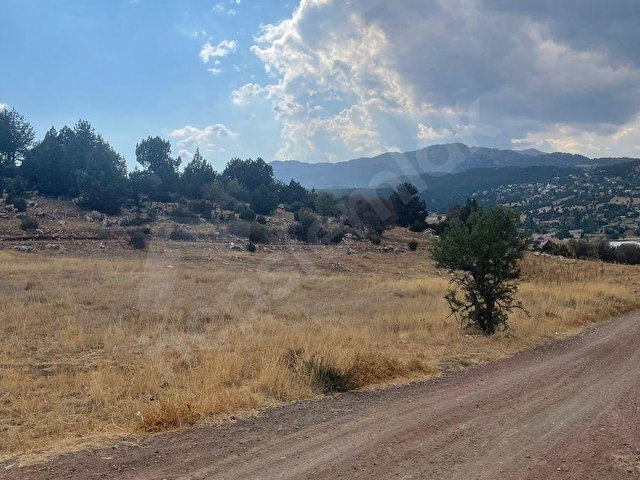 YAYLA KARAÇULHADA YATIRIMLIK TARLA - Görsel 7