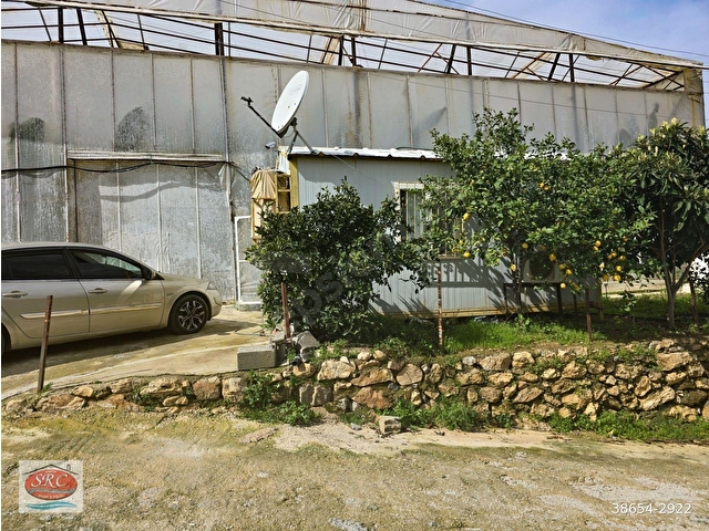 Mersin Anamur Satılık Muz Serası - Görsel 19