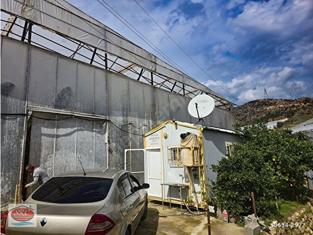 Mersin Anamur Satılık Muz Serası - Görsel 17