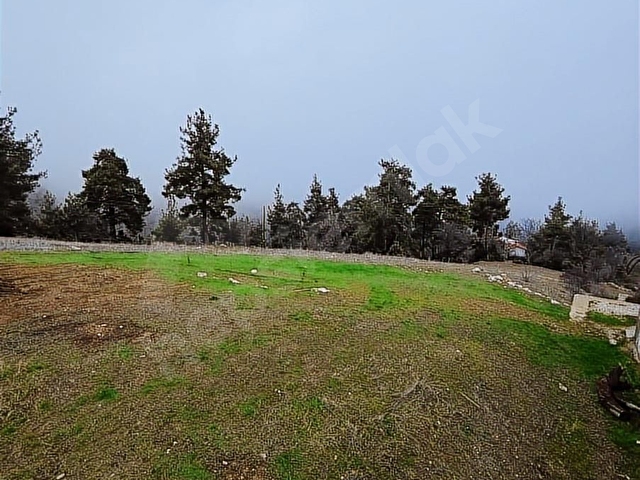 YERLEŞİM İÇİ ANA YOLA CEPHE TEK TAPU FIRSAT YAZLIK YAPILIR - Görsel 20