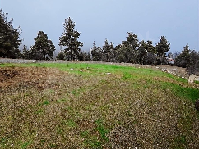 YERLEŞİM İÇİ ANA YOLA CEPHE TEK TAPU FIRSAT YAZLIK YAPILIR - Görsel 15