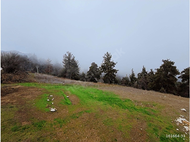 YERLEŞİM İÇİ ANA YOLA CEPHE TEK TAPU FIRSAT YAZLIK YAPILIR - Görsel 4