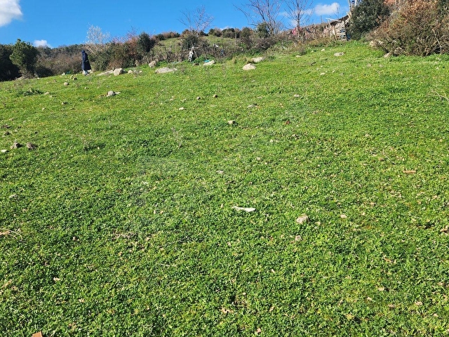 🚨 SAVAŞTEPEDE 665 M² CADDEYE CEPHELİ İMARLI ARSA 🚨 - Görsel 13