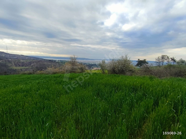 ÇANAKKALE MERKEZ SARICAELİ KÖYÜNDE SATILIK TARLA