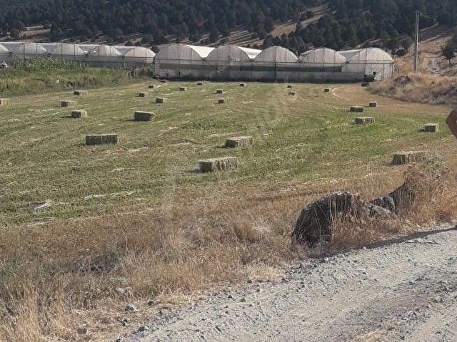 Seydikemer Bekçilerde 3525m2 satılık köşe parsel tarla - Görsel 5