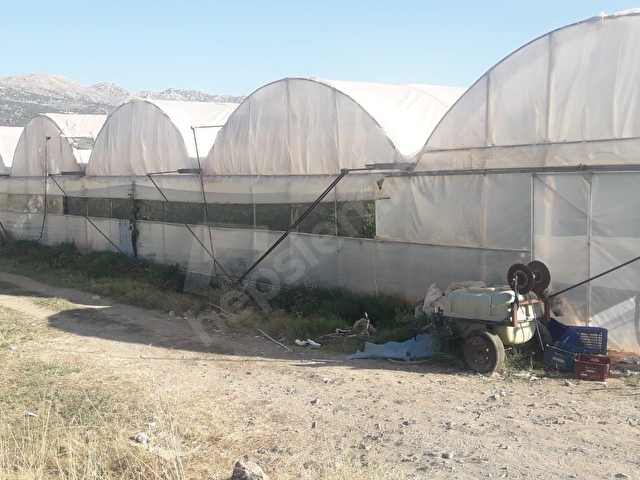Seydikemer Bekçilerde 3525m2 satılık köşe parsel tarla - Görsel 9