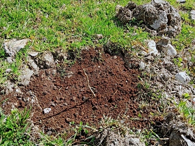 MEZİTLİDE İMARLI YAYLALIK ARSA - Görsel 6