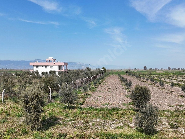 AKYENİKÖYDE 15.600 METRE EMSALSİZ FİYAT TARLA SU KUYUSU VAR