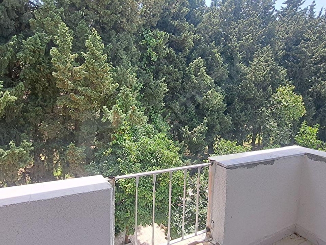 özdere havacılar kampı yakını yazlık bahçeli geniş ferah satılık - Görsel 2