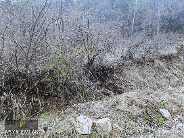 ASYA EVİM EMLAKTAN AĞLASUN YEŞİLBAŞKÖY DE SATILIK TARLA - Görsel 8