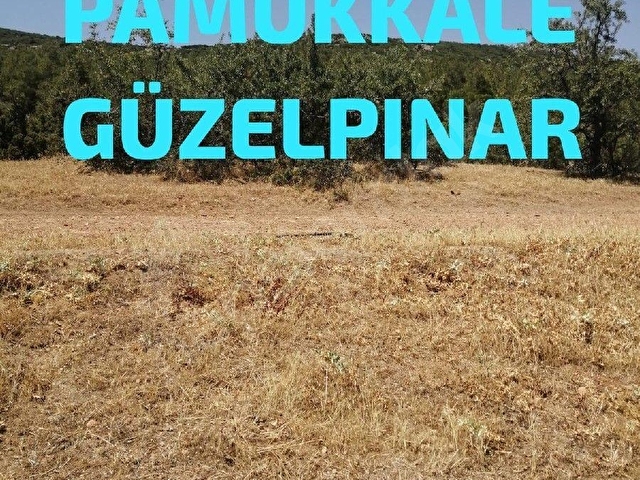 Ramazan Tıkıroğlundan satılık  Tarla