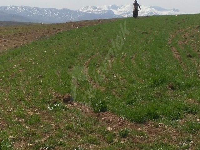 Satılık....Kayseri Pınarbaşı.... - Görsel 9