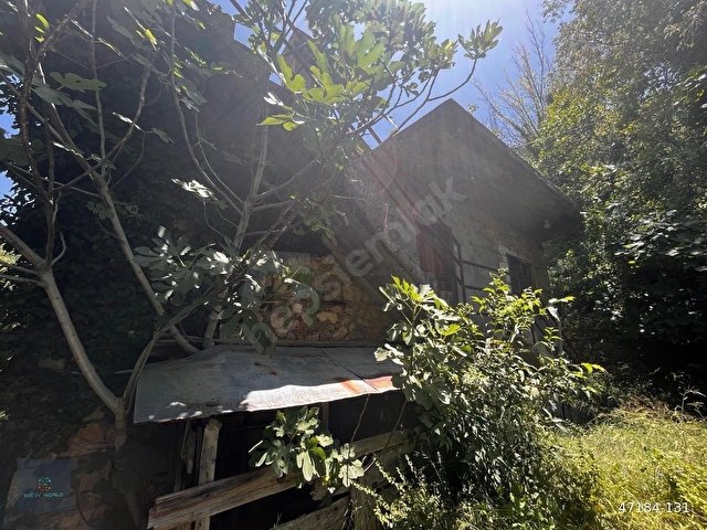 ALANYA GÜMÜŞ KAVAK KÖYÜNDE SATILIK KÖY EVİ - Görsel 8