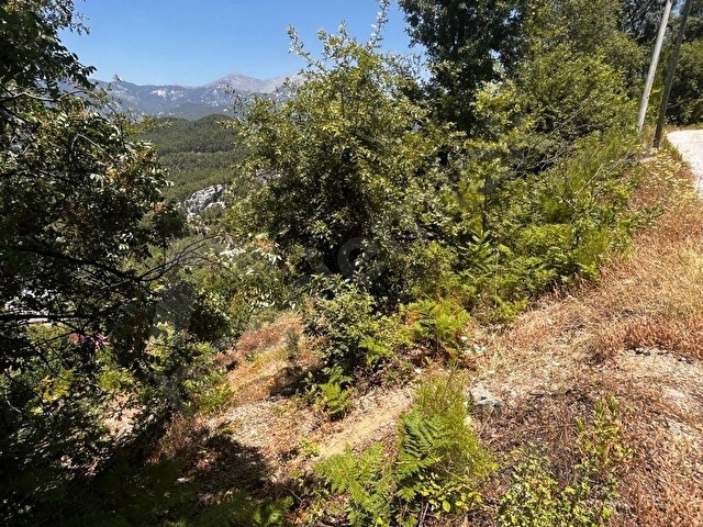 ALANYA GÜMÜŞ KAVAK KÖYÜNDE SATILIK KÖY EVİ - Görsel 7