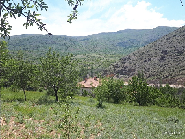 YAHYALI YENİCE MAHALLESİ ÇAT MEVKİİNDE, İÇERİSİ MEYVE AĞAÇLI 1350 M2 ARSA SATILIKTIR. - Görsel 5