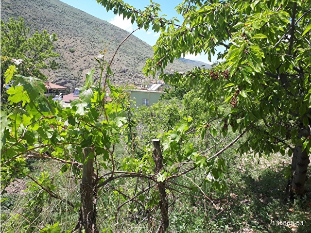 YAHYALI YENİCE MAHALLESİ ÇAT MEVKİİNDE, İÇERİSİ MEYVE AĞAÇLI 1350 M2 ARSA SATILIKTIR. - Görsel 16