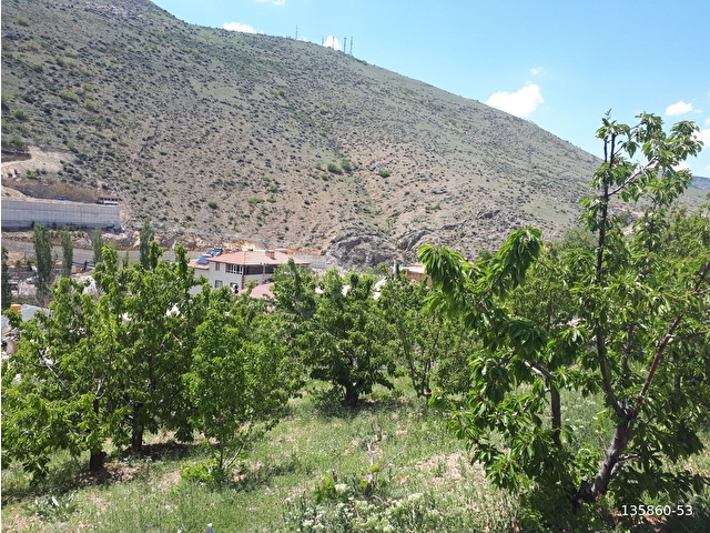 YAHYALI YENİCE MAHALLESİ ÇAT MEVKİİNDE, İÇERİSİ MEYVE AĞAÇLI 1350 M2 ARSA SATILIKTIR. - Görsel 12