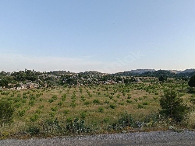 AYDINCIK DURUHANDA 21185 M2 SATILIK BADEM BAHÇESİ - Görsel 3
