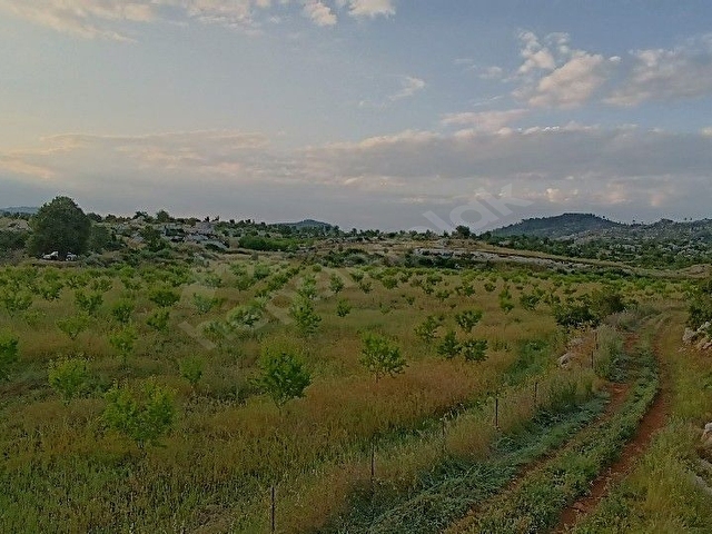 AYDINCIK DURUHANDA 21185 M2 SATILIK BADEM BAHÇESİ - Görsel 13