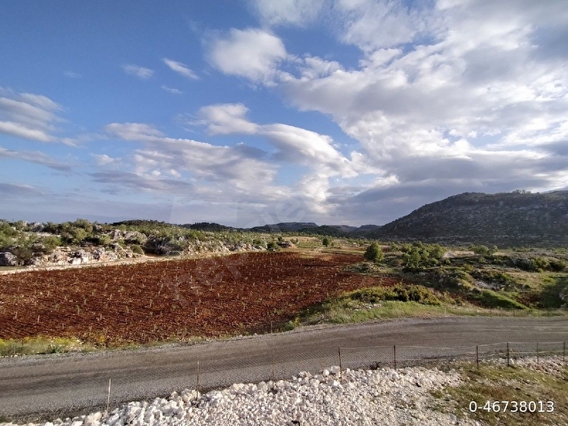 AYDINCIK DURUHANDA 21185 M2 SATILIK BADEM BAHÇESİ - Görsel 18