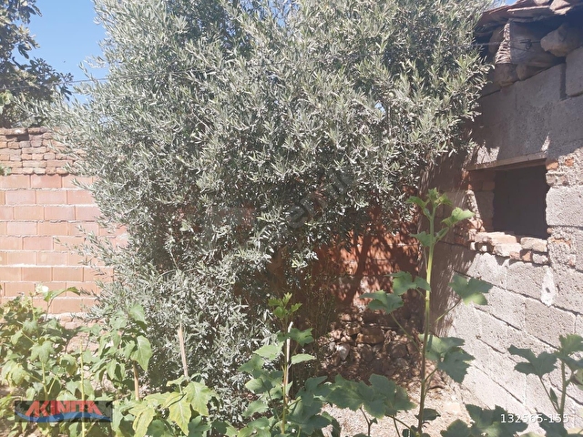 AYDIN GERMENCİK REİSKÖYDE MÜSTAKİL SATILIK KÖY EVİ - Görsel 30