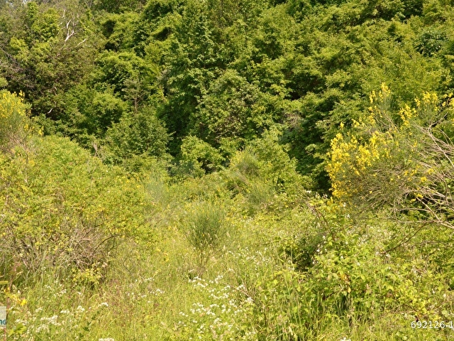 TURENG DEN İNEBOLU YAZTEPE KÖYÜNDE 942 M2 SATILIK ARAZİ - Görsel 28