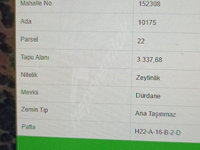 BURSA  OSMANGAZİ GÜNDOĞDU MAH.DE SATILIK ZEYTİNLİK ARAZİSİ DENİZ GÖRÜR DAİRE İLE TAKAS DÜŞÜNÜLÜR - Görsel 2