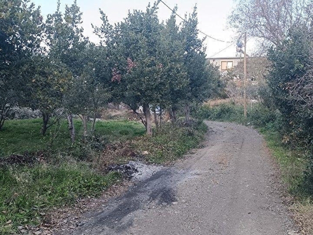 YAYLICA MAH SATILIK 627 M2+500 M2 BİTİŞİK İKİ PARSEL DOĞAYLA İÇ İÇE MUHTEŞEM BİR KONUMDA KELEPİR... - Görsel 7