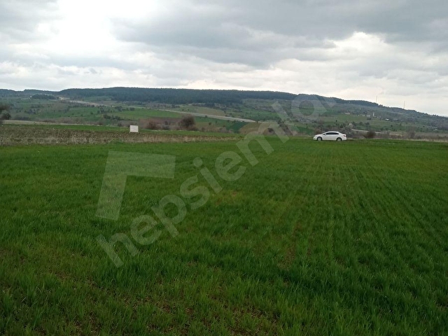 ÜNLÜ EMLAKTAN ŞEYH KÖYÜ BÖLGESİNDE EMSALSİZ FİYATA SATILIK ARAZİ - Görsel 17