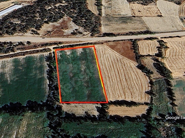 BOLU GÖYNÜK 10.014,12 M2 AKARYAKIT İSTASYON VEYA ÇİFTLİK ARAZİSİ