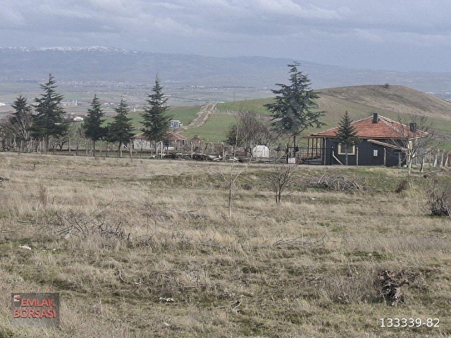 TEK TAPU 1367 METRE BAHÇE YATIRIM BÖLGESİ - Görsel 3